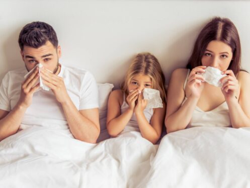 Indoor air quality services in Gilbert, AZ